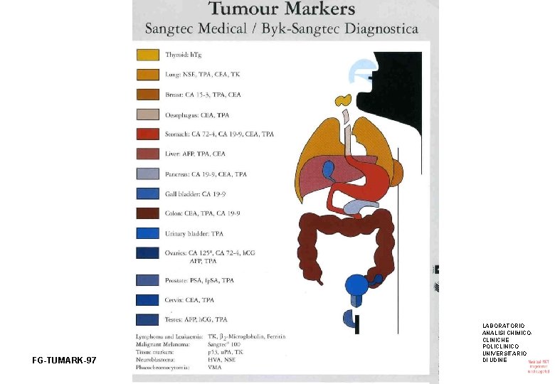 FG-TUMARK-97 LABORATORIO ANALISI CHIMICOCLINICHE POLICLINICO UNIVERSITARIO DI UDINE 