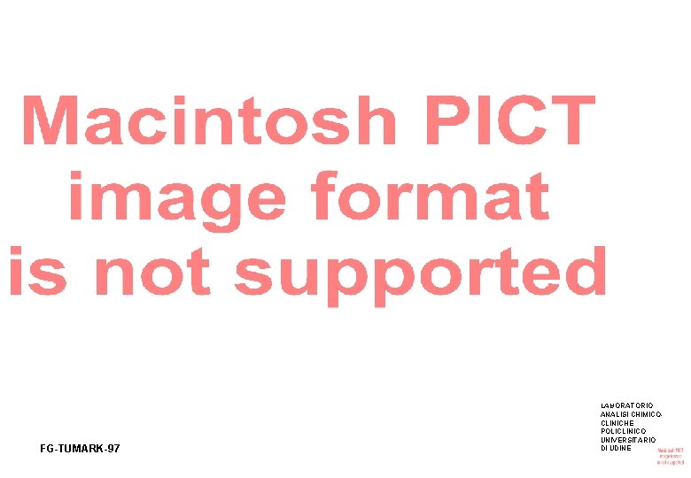 FG-TUMARK-97 LABORATORIO ANALISI CHIMICOCLINICHE POLICLINICO UNIVERSITARIO DI UDINE 