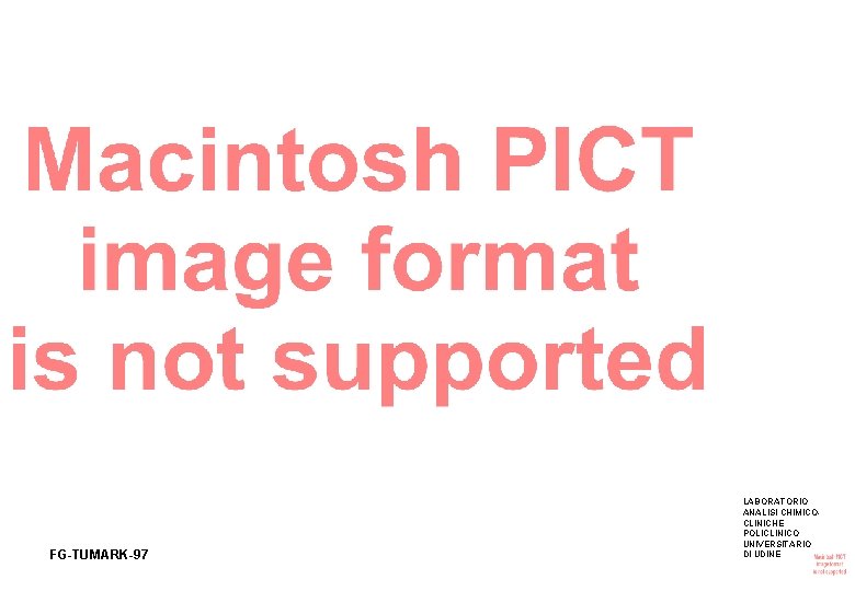 FG-TUMARK-97 LABORATORIO ANALISI CHIMICOCLINICHE POLICLINICO UNIVERSITARIO DI UDINE 