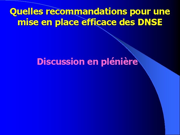 Quelles recommandations pour une mise en place efficace des DNSE Discussion en plénière 