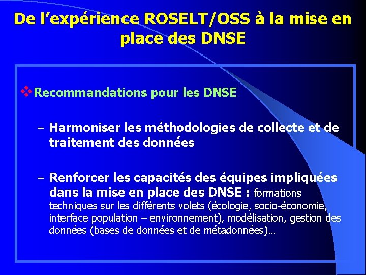 De l’expérience ROSELT/OSS à la mise en place des DNSE v. Recommandations pour les