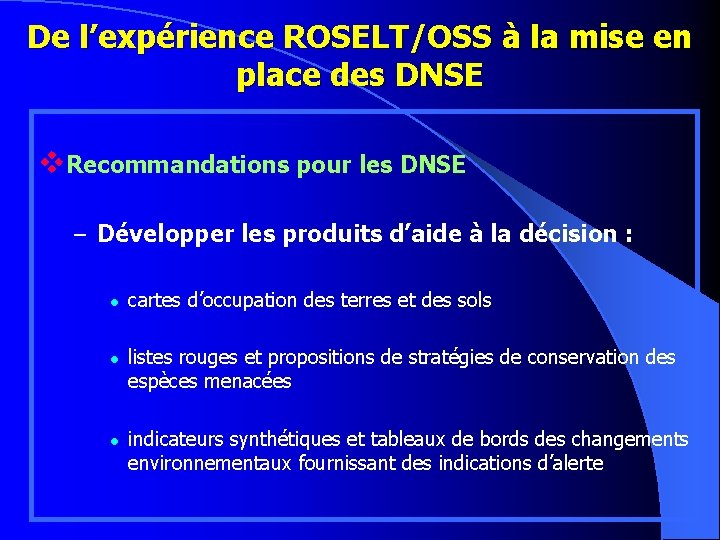 De l’expérience ROSELT/OSS à la mise en place des DNSE v. Recommandations pour les