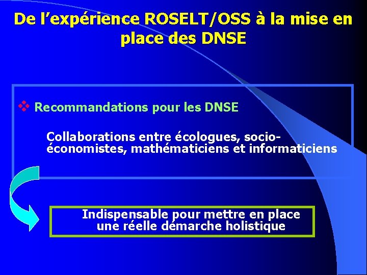 De l’expérience ROSELT/OSS à la mise en place des DNSE v Recommandations pour les