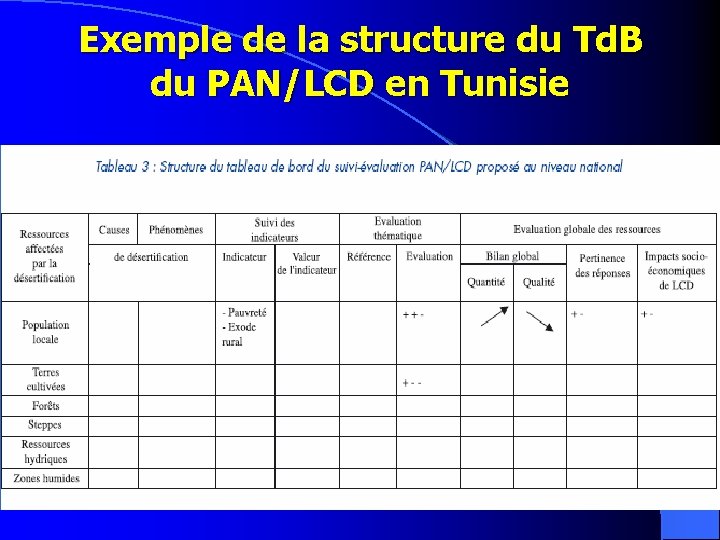 Exemple de la structure du Td. B du PAN/LCD en Tunisie 