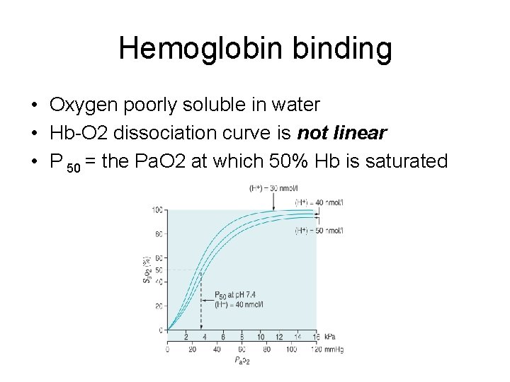 Hemoglobin binding • Oxygen poorly soluble in water • Hb-O 2 dissociation curve is
