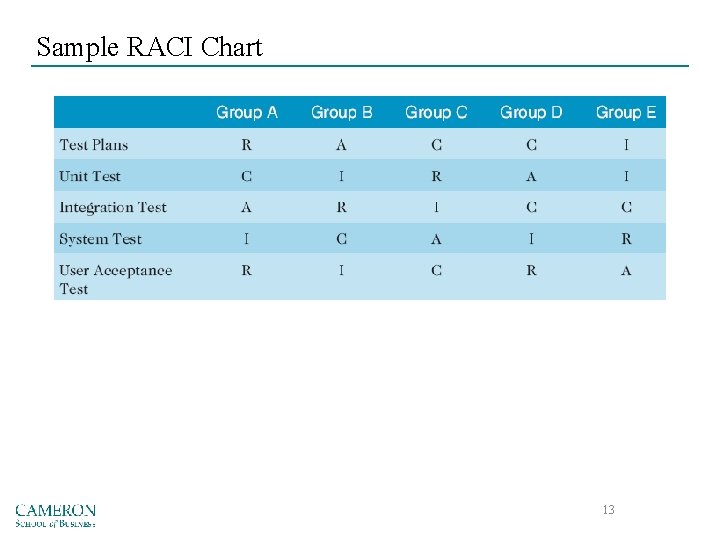 Sample RACI Chart 13 