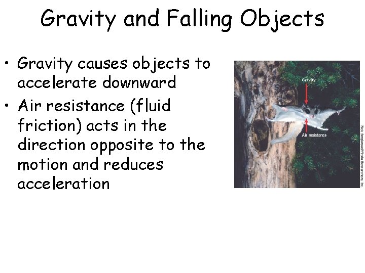 Gravity and Falling Objects • Gravity causes objects to accelerate downward • Air resistance