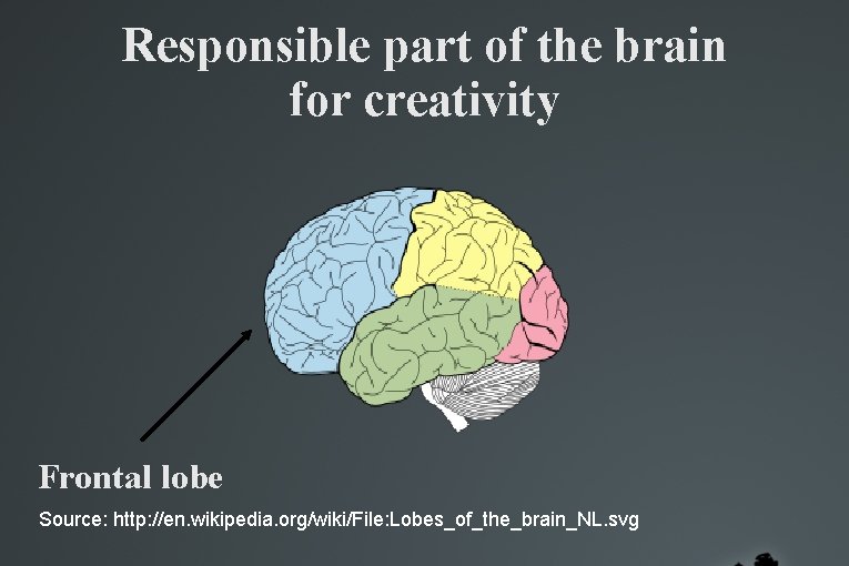 Responsible part of the brain for creativity Frontal lobe Source: http: //en. wikipedia. org/wiki/File: Responsible part of the brain for creativity Frontal lobe Source: http: //en. wikipedia. org/wiki/File: