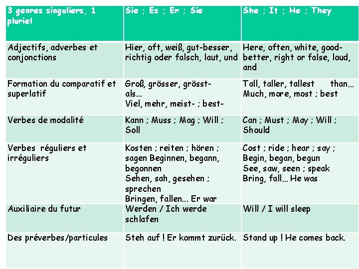 3 genres singuliers, 1 pluriel Sie ; Es ; Er ; Sie Adjectifs, adverbes