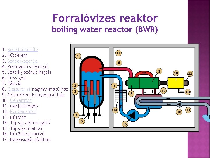 Forralóvizes reaktor boiling water reactor (BWR) 1. Reaktortartály 2. Fűtőelem 3. Szabályozórúd 4. Keringető