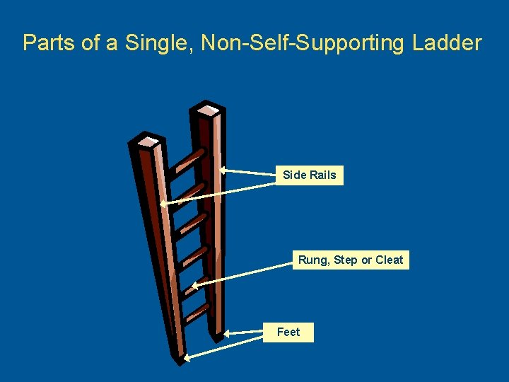 Parts of a Single, Non-Self-Supporting Ladder Side Rails Rung, Step or Cleat Feet 