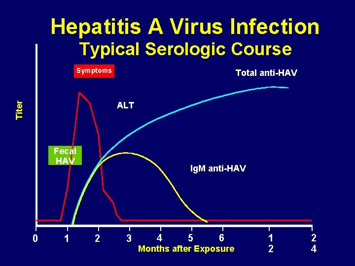 Hepatitis A Virus Infection Typical Serologic Course Symptoms Total anti-HAV Titer ALT Fecal HAV