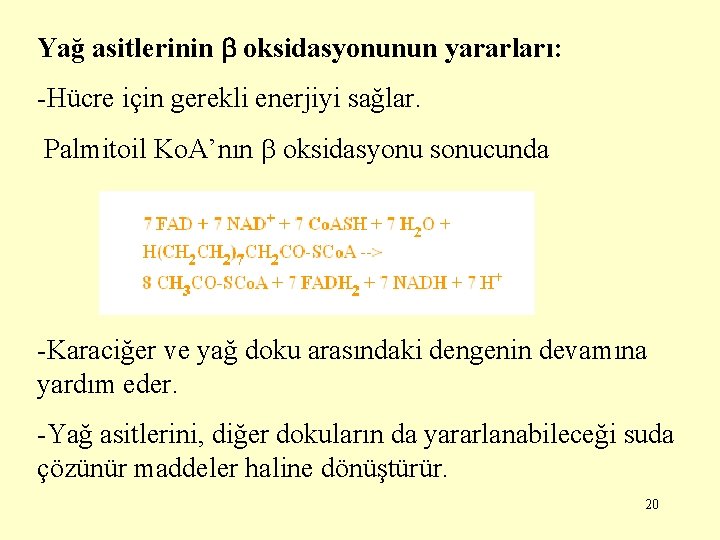 Yağ asitlerinin oksidasyonunun yararları: -Hücre için gerekli enerjiyi sağlar. Palmitoil Ko. A’nın oksidasyonu sonucunda