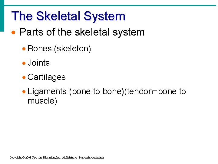 The Skeletal System · Parts of the skeletal system · Bones (skeleton) · Joints