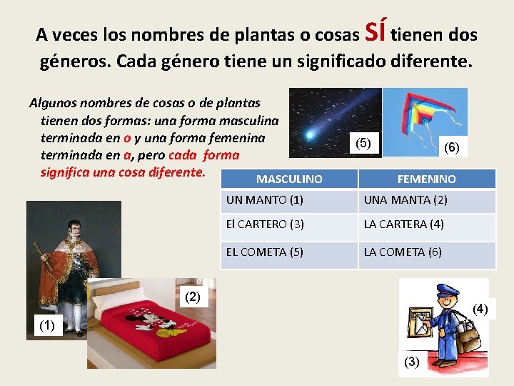 A veces los nombres de plantas o cosas SÍ tienen dos géneros. Cada género