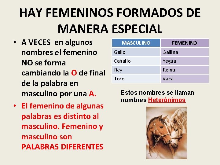 HAY FEMENINOS FORMADOS DE MANERA ESPECIAL • A VECES en algunos nombres el femenino