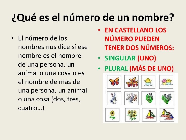 ¿Qué es el número de un nombre? • El número de los nombres nos