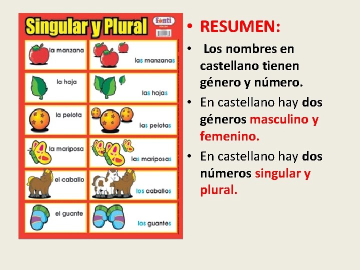  • RESUMEN: • Los nombres en castellano tienen género y número. • En