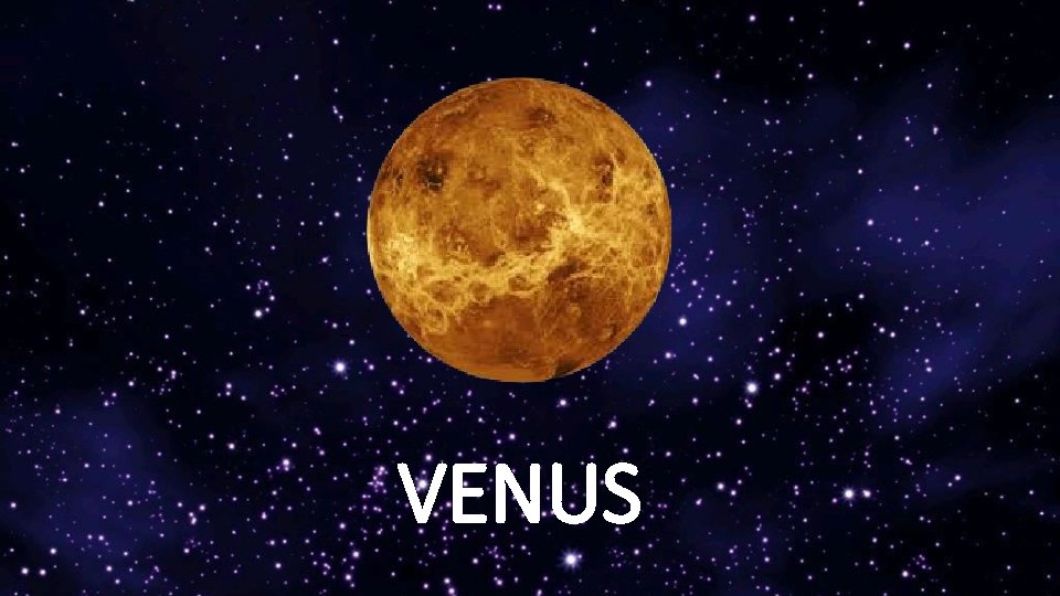 VENUS 