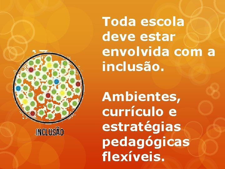 Toda escola deve estar envolvida com a inclusão. Ambientes, currículo e estratégias pedagógicas flexíveis.