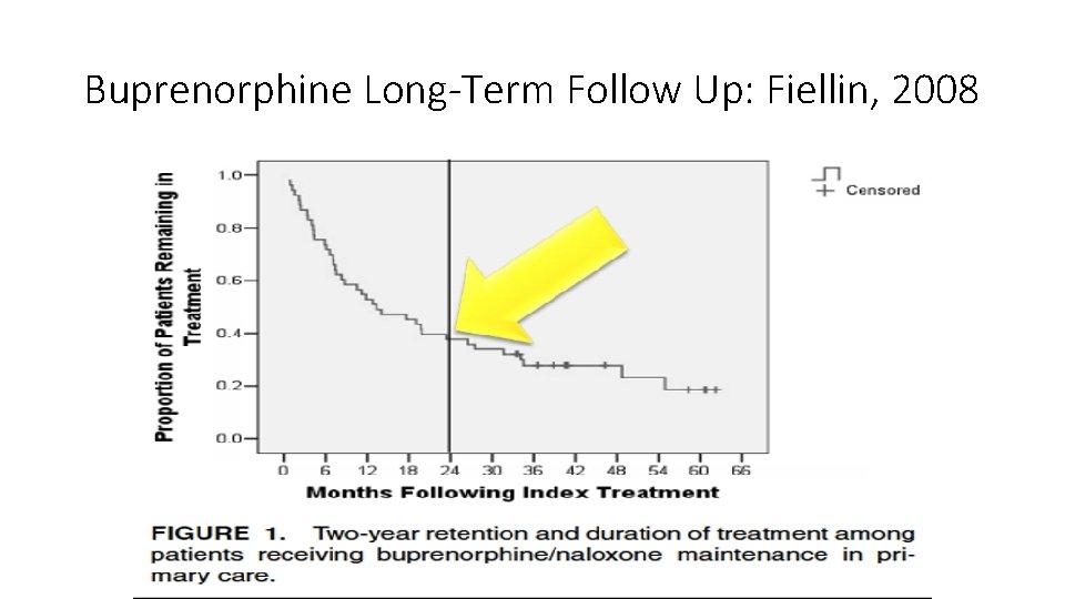 Buprenorphine Long-Term Follow Up: Fiellin, 2008 