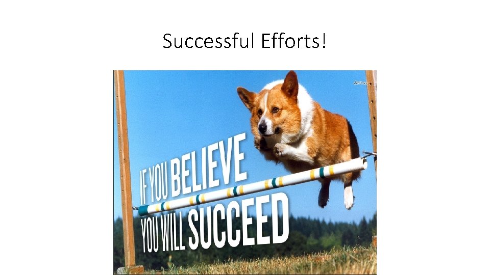 Successful Efforts! 