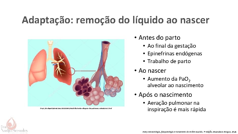 Adaptação: remoção do líquido ao nascer • Antes do parto • Ao final da