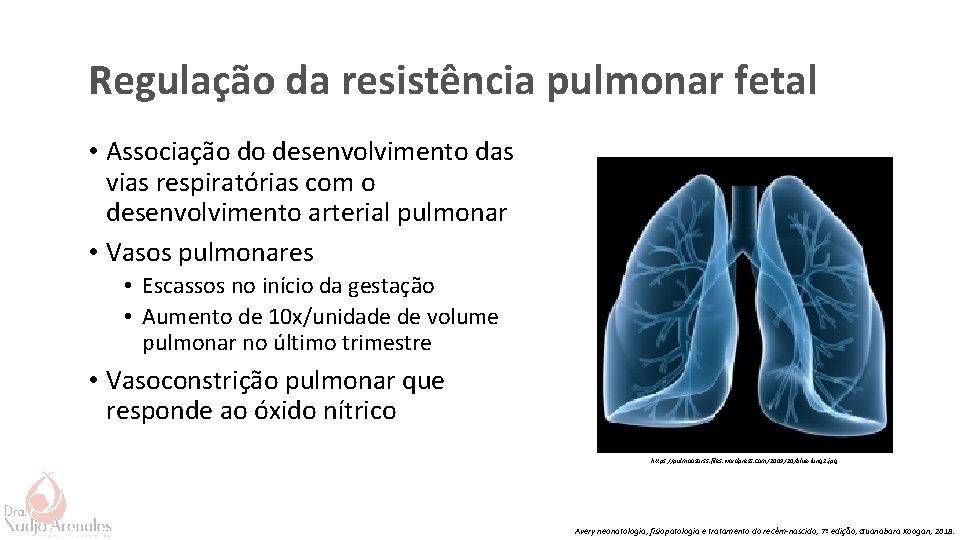 Regulação da resistência pulmonar fetal • Associação do desenvolvimento das vias respiratórias com o