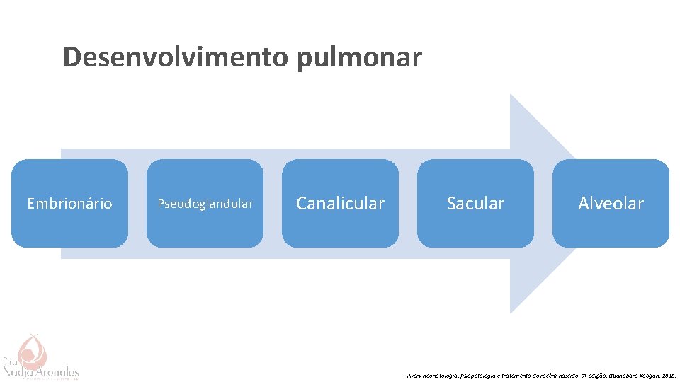 Desenvolvimento pulmonar Embrionário Pseudoglandular Canalicular Sacular Alveolar Avery neonatologia, fisiopatologia e tratamento do recém-nascido,