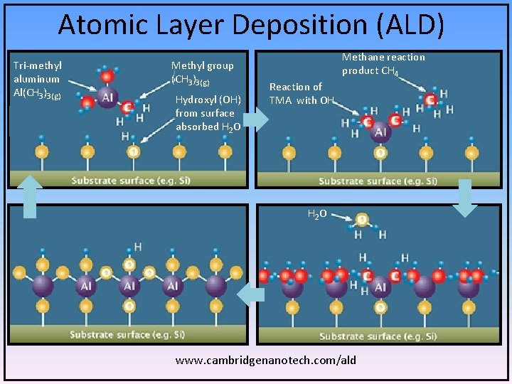 Atomic Layer Deposition (ALD) Tri-methyl aluminum Al(CH 3)3(g) Methyl group (CH 3)3(g) Hydroxyl (OH)