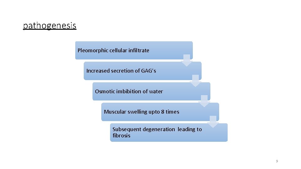 pathogenesis Pleomorphic cellular infiltrate Increased secretion of GAG’s Osmotic imbibition of water Muscular swelling