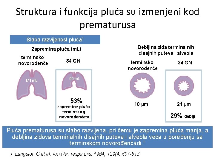 Struktura i funkcija pluća su izmenjeni kod prematurusa Slaba razvijenost pluća 1 Zapremina pluća