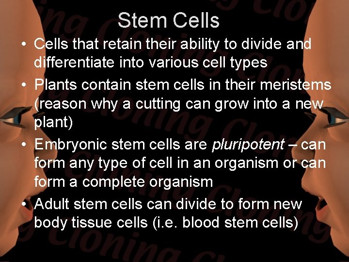 Stem Cells • Cells that retain their ability to divide and differentiate into various