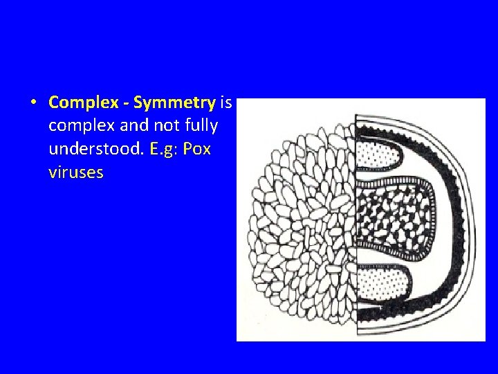  • Complex - Symmetry is complex and not fully understood. E. g: Pox