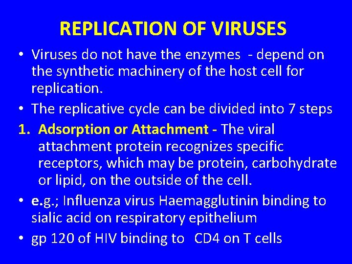 REPLICATION OF VIRUSES • Viruses do not have the enzymes - depend on the