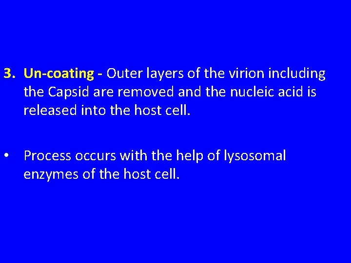 3. Un-coating - Outer layers of the virion including the Capsid are removed and