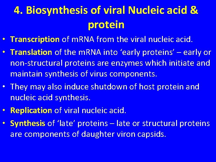 4. Biosynthesis of viral Nucleic acid & protein • Transcription of m. RNA from