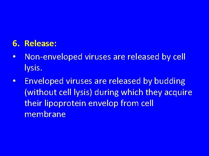 6. Release: • Non-enveloped viruses are released by cell lysis. • Enveloped viruses are