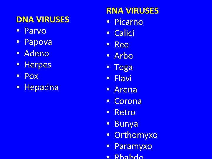 DNA VIRUSES • Parvo • Papova • Adeno • Herpes • Pox • Hepadna