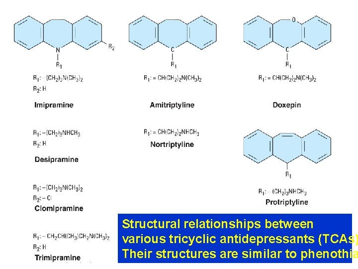 Structural relationships between various tricyclic antidepressants (TCAs) Their structures are similar to phenothia 