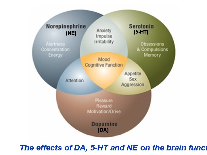 (5 -HT) (NE) (DA) The effects of DA, 5 -HT and NE on the