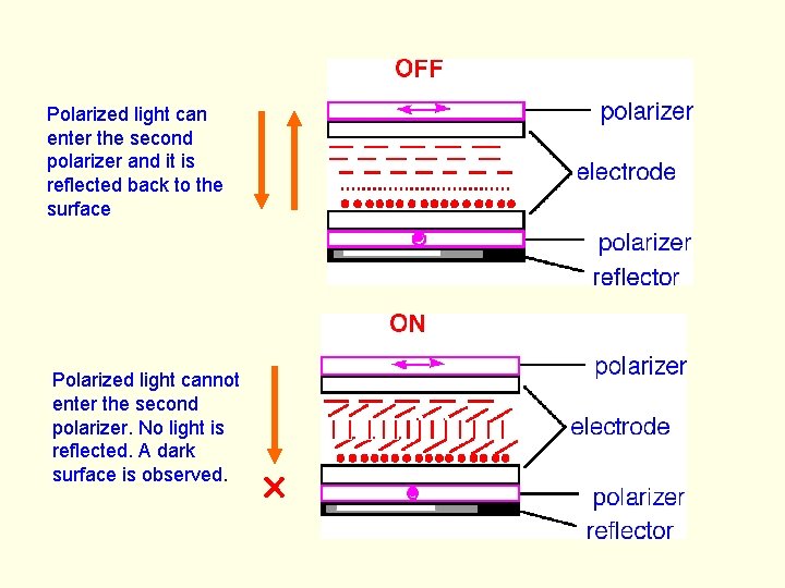 Polarized light can enter the second polarizer and it is reflected back to the