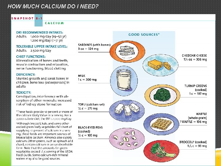 HOW MUCH CALCIUM DO I NEED? HOW MUCH CALCIUM DO I NEED?