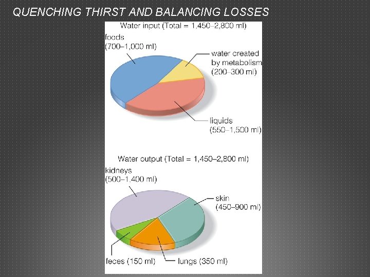 QUENCHING THIRST AND BALANCING LOSSES 