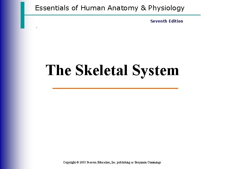 Essentials of Human Anatomy & Physiology. Seventh Edition The Skeletal System Copyright © 2003