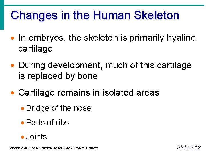 Changes in the Human Skeleton · In embryos, the skeleton is primarily hyaline cartilage