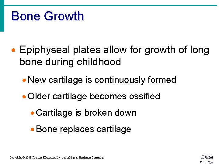 Bone Growth · Epiphyseal plates allow for growth of long bone during childhood ·