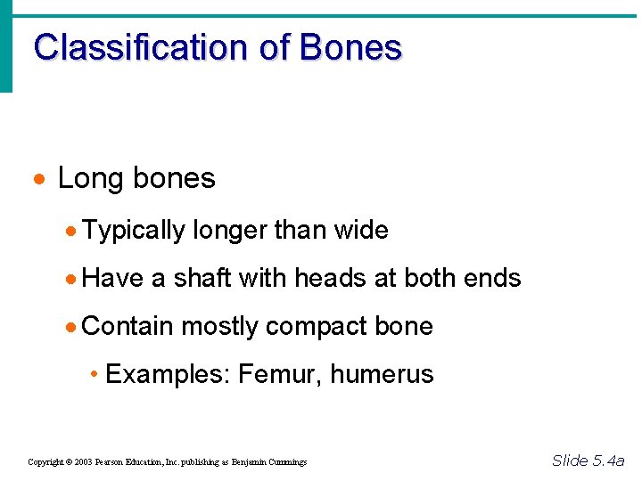 Classification of Bones · Long bones · Typically longer than wide · Have a