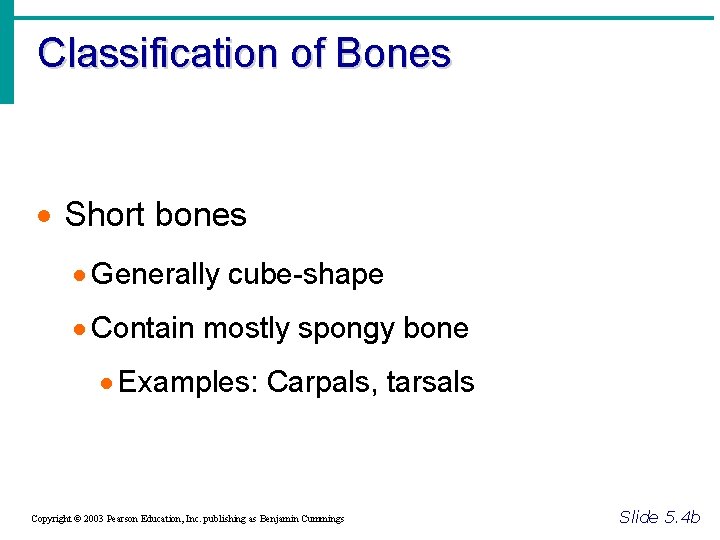 Classification of Bones · Short bones · Generally cube-shape · Contain mostly spongy bone