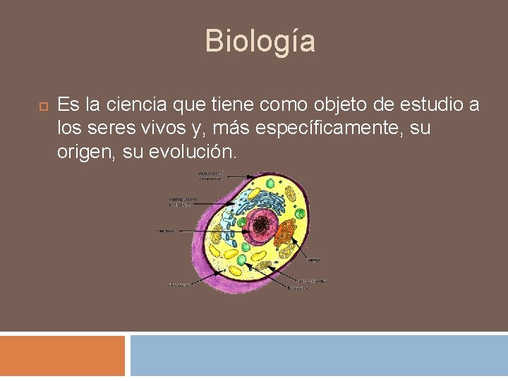 Biología Es la ciencia que tiene como objeto de estudio a los seres vivos